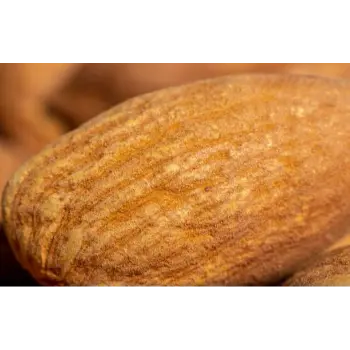 Fresh Organic Almond